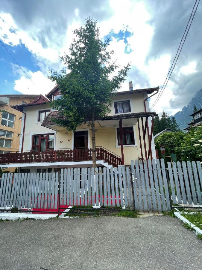 Constantinescu A. Hotel Busteni Exterior photo